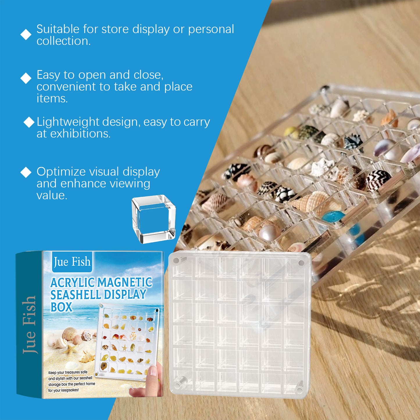 Acrylic Shell Display Case