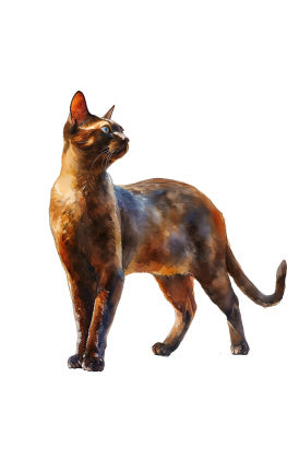 Cat Collections Wooden Puzzle