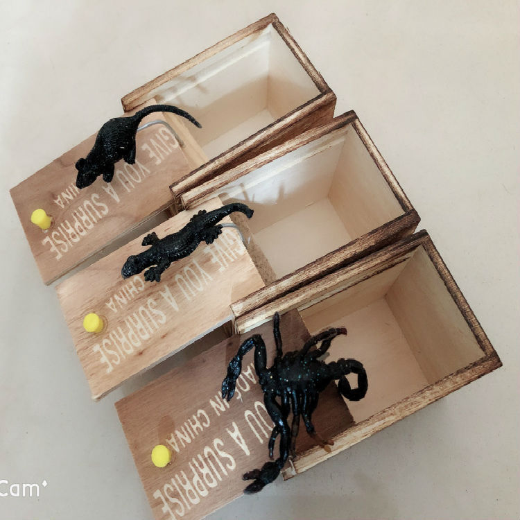 Prank Trick Play Joke Box
