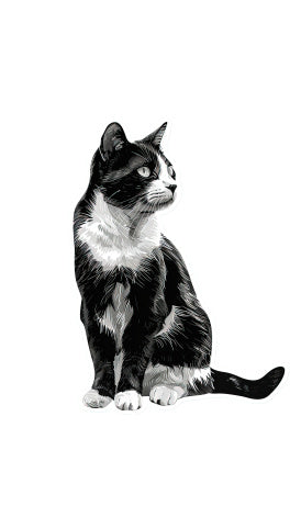 Cat Collections Wooden Puzzle