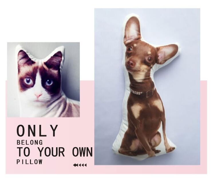 Customize Irregular Pillow