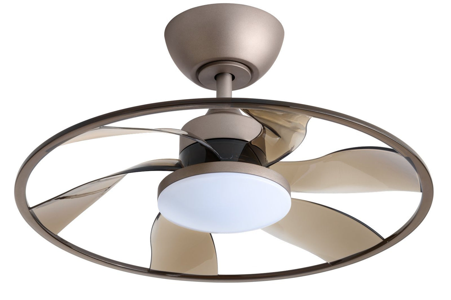 Smart Ceiling Fan