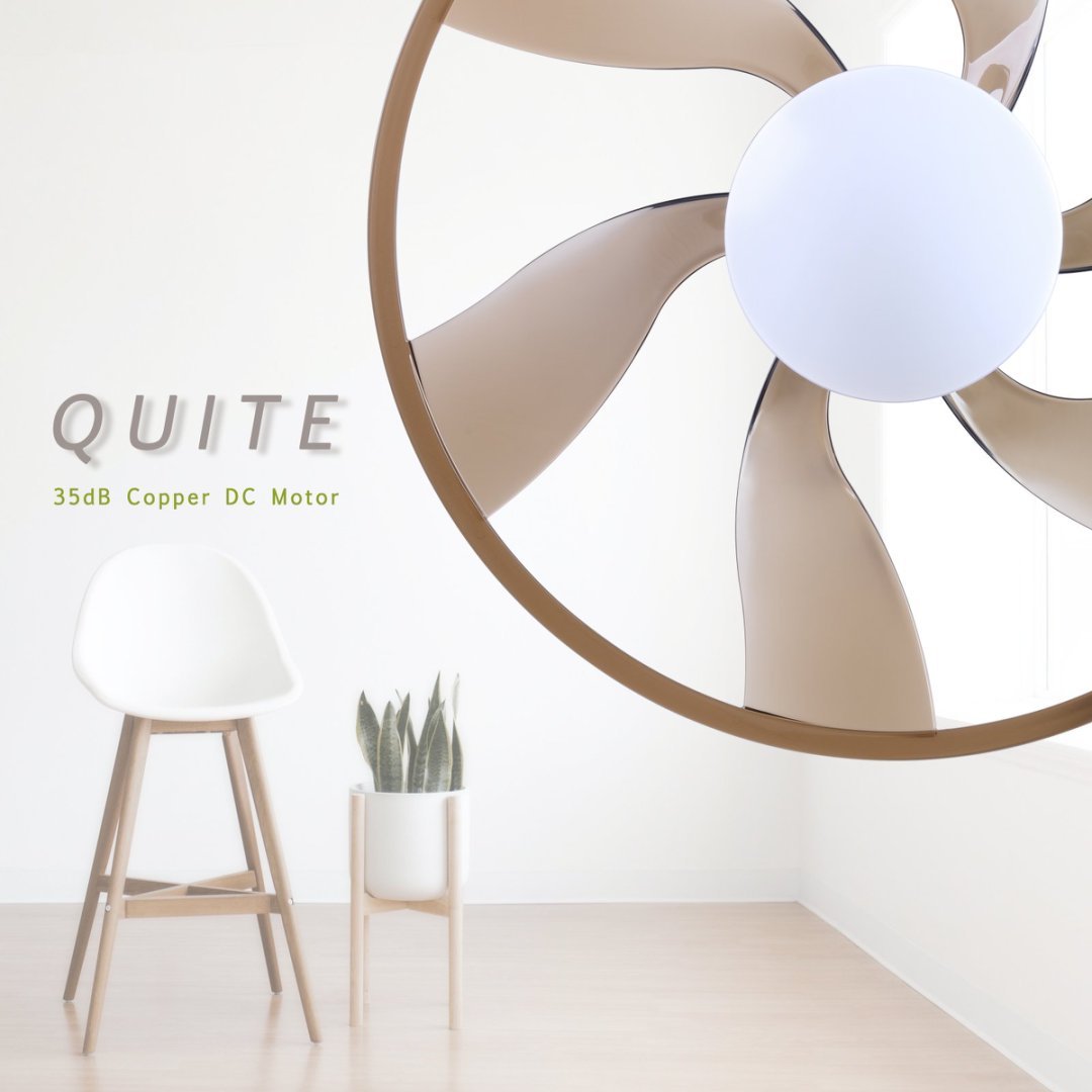 Smart Ceiling Fan