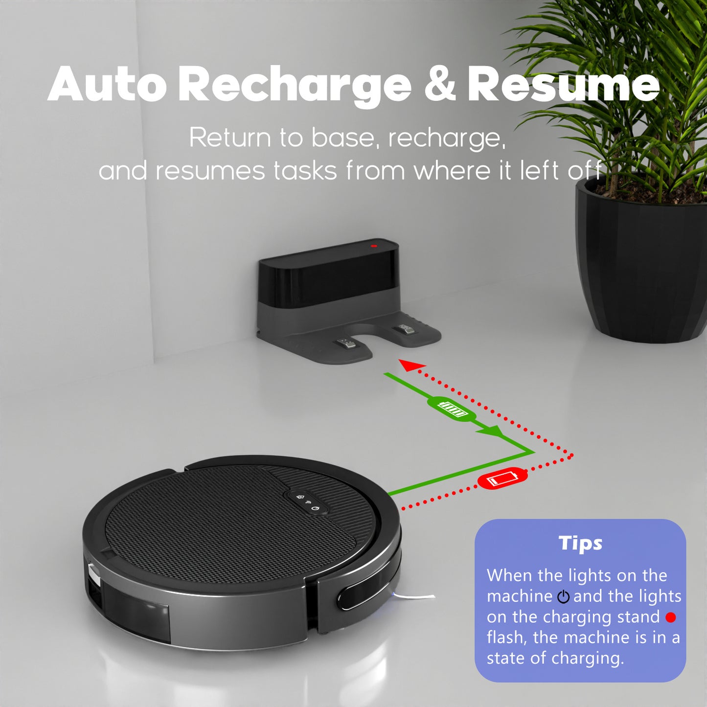 Robot Vacuum And Mop