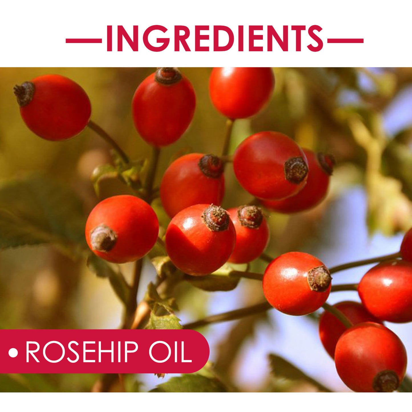 Nourishing Skin Care Massage Oil