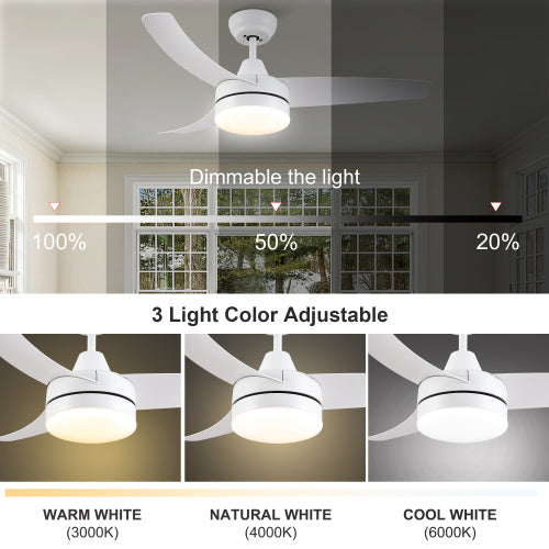 42 Inch Indoor Ceiling Fan