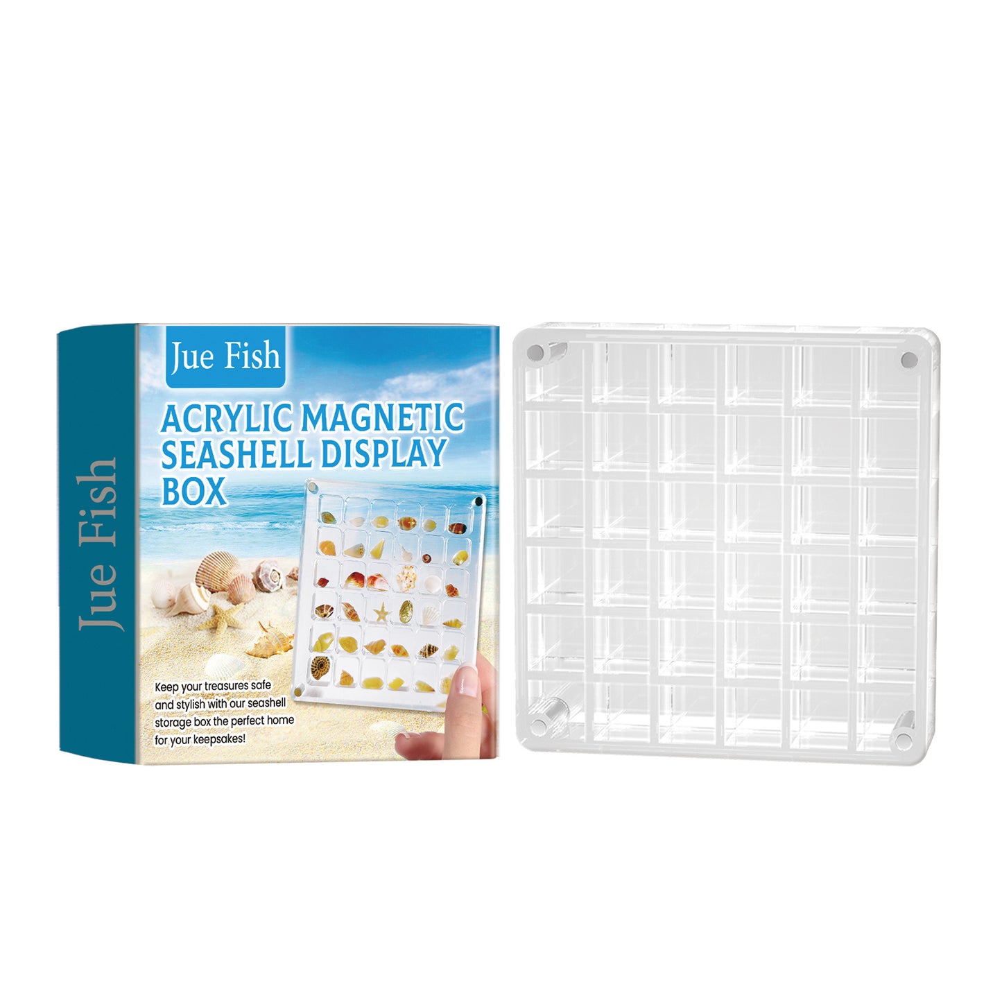 Acrylic Shell Display Case
