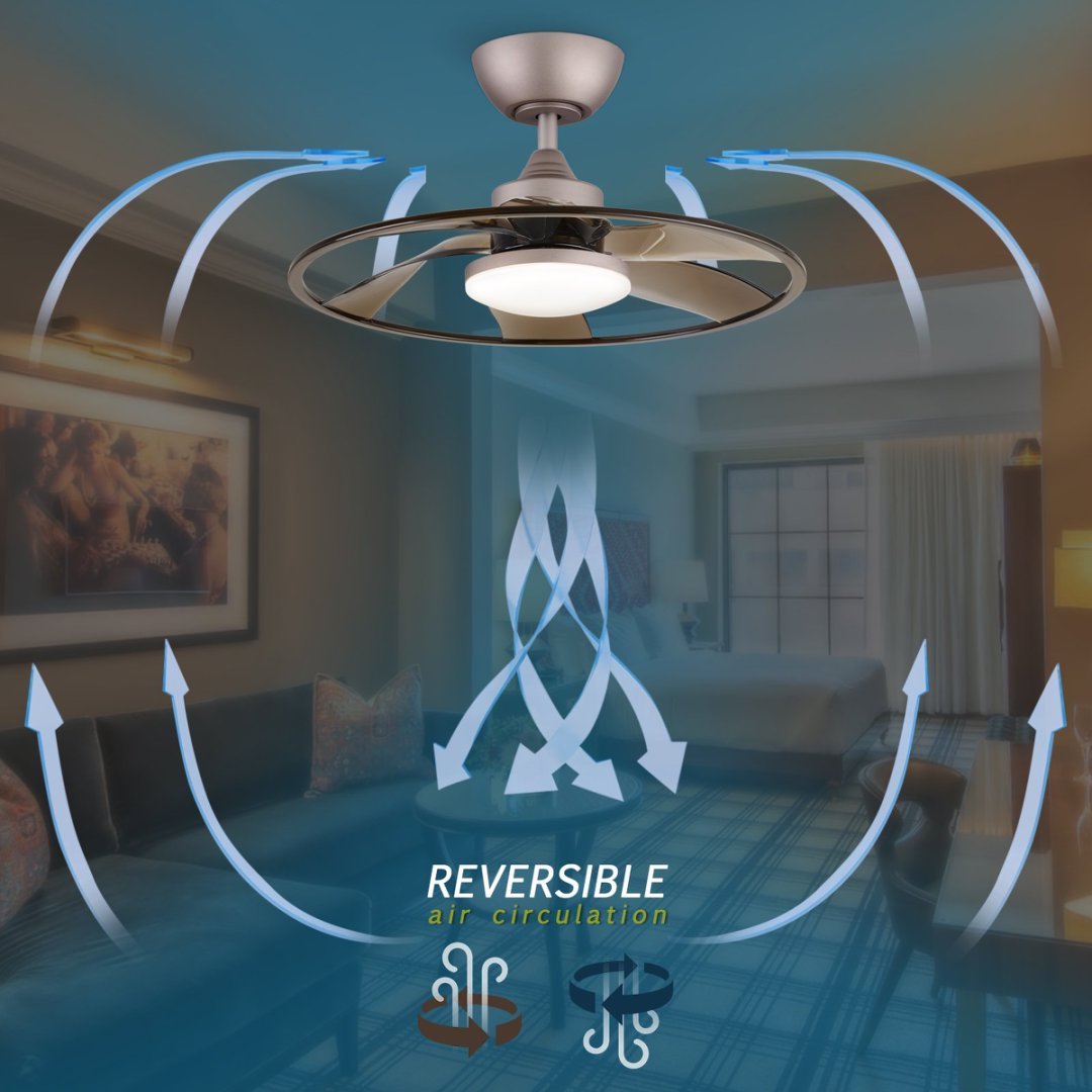 Smart Ceiling Fan