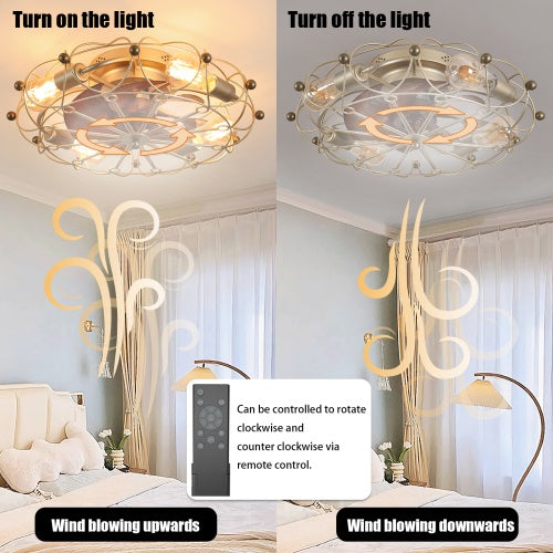 Low Profile Cage Ceiling Fan