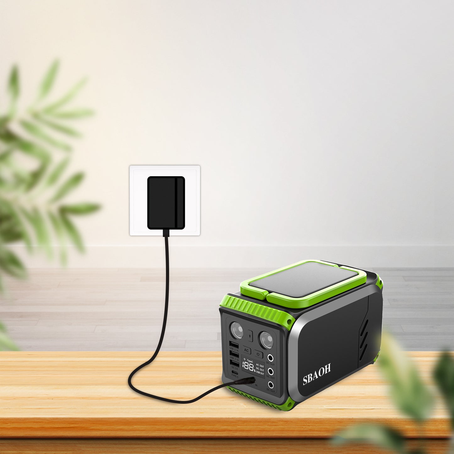 110V Camping Power Station