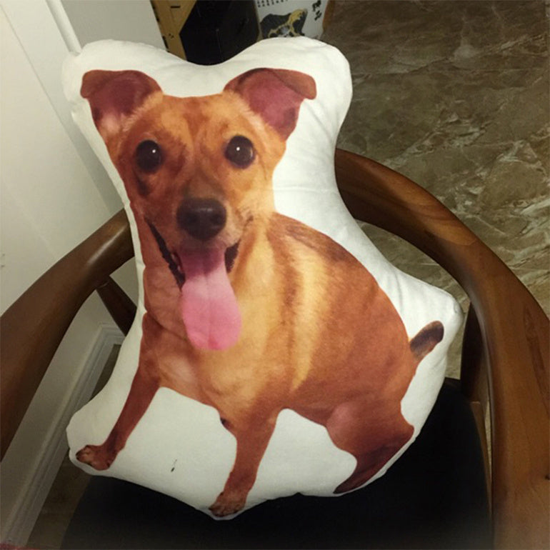 Customize Irregular Pillow