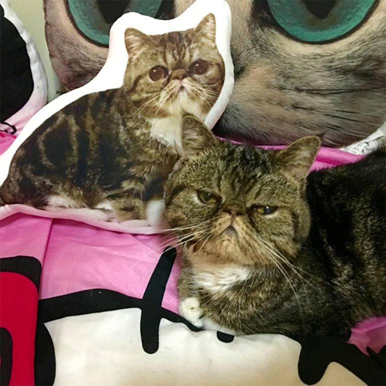 Customize Irregular Pillow