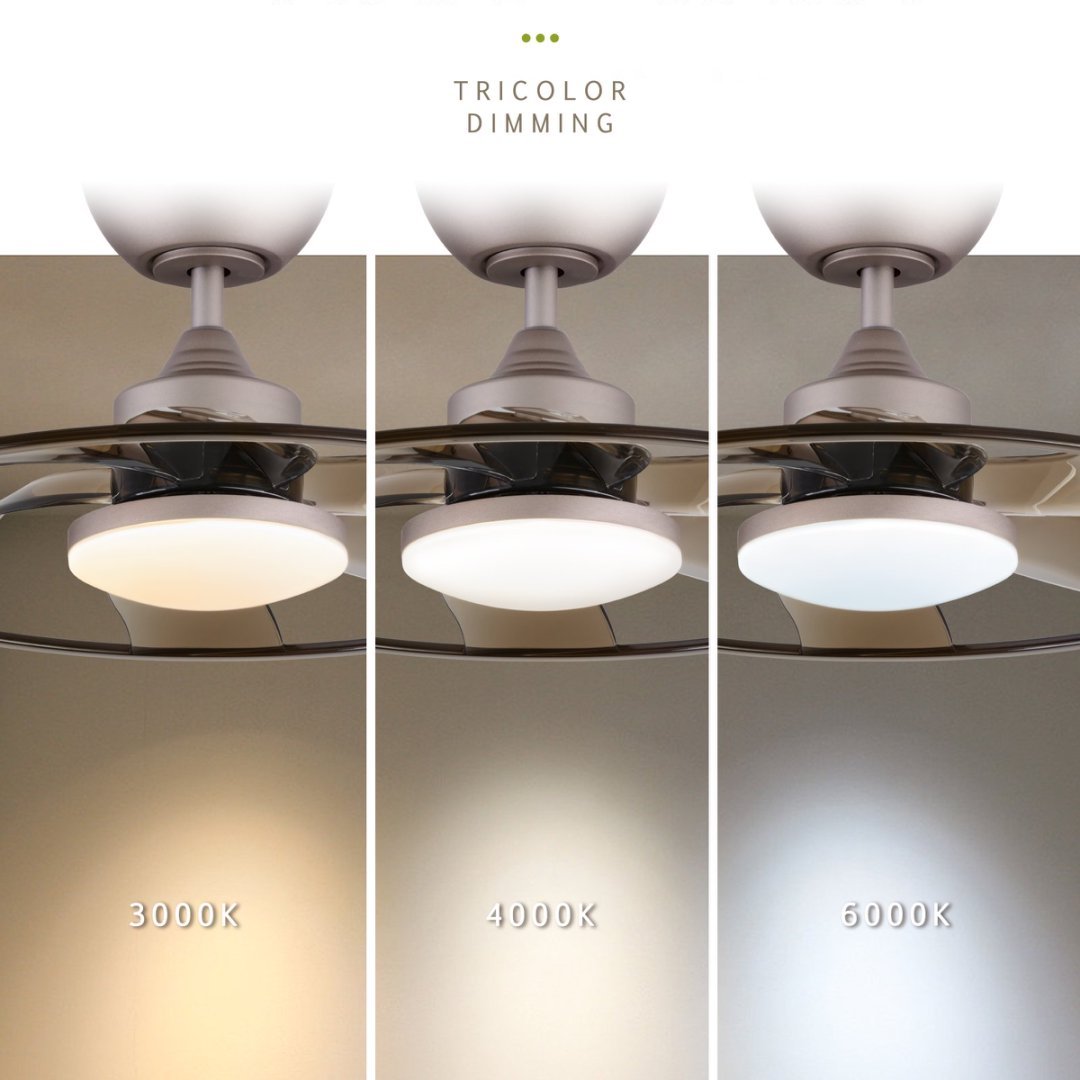Smart Ceiling Fan