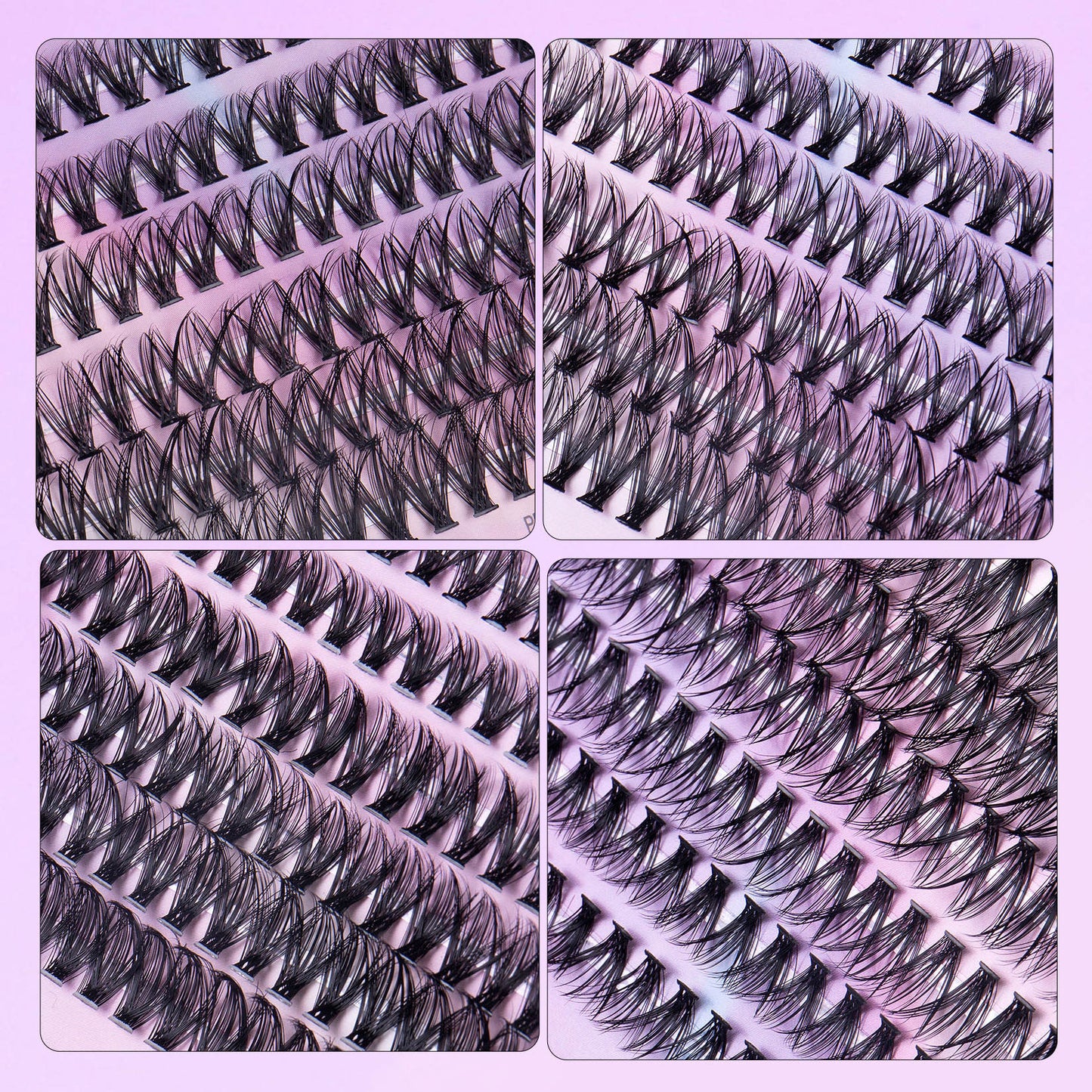 12 Rows Segmented Lashes Set