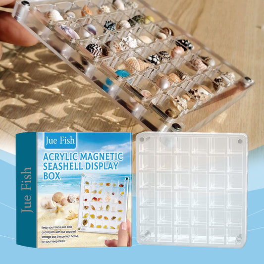 Acrylic Shell Display Case